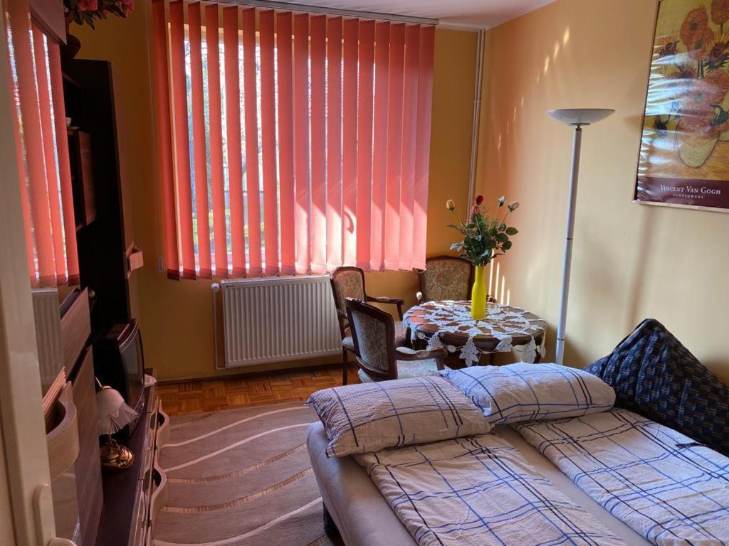 Villa Ani Hajdúszoboszló Dış mekan fotoğraf